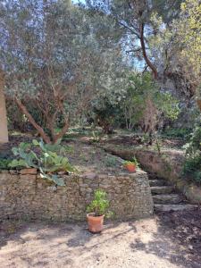 BASTIDE PRESQU ILE DE GIENS SUPERBE VUE MER PISCINE外面的花园