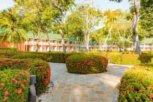 Vrt pred nastanitvijo Barceló Tambor - All Inclusive