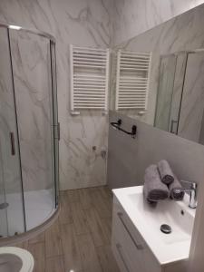 W łazience znajduje się prysznic, umywalka i lustro. w obiekcie Apartamenty niedaleko plaży w Brodnicy