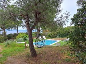 BASTIDE PRESQU ILE DE GIENS SUPERBE VUE MER PISCINE内部或周边的泳池