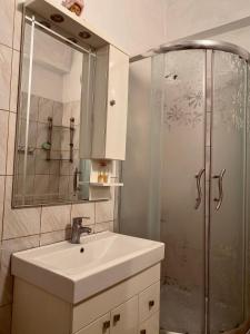 uma casa de banho com um lavatório e um chuveiro em Charming Berat flat getaway em Berat