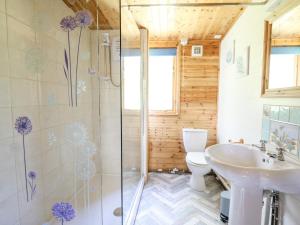 W łazience znajduje się prysznic, toaleta i umywalka. w obiekcie Brook Lodge w mieście Llandysul