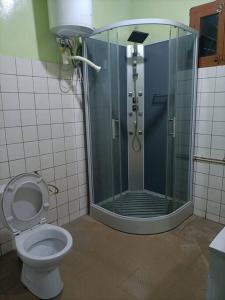 a bathroom with a shower and a toilet at Villa Sophie à Sassara Pk 12 Bangui in Bangui