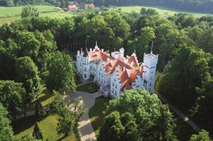 widok z powietrza na zamek w drzewach w obiekcie Pałac Sulisław w mieście Sulisław