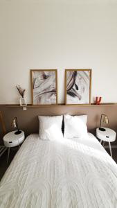 um quarto com uma cama com três pinturas na parede em Appartement T3 à deux pas du centre-ville em Vichy