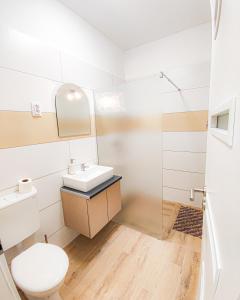 a bathroom with a sink and a toilet at Harmónia Vendégház in Szeged