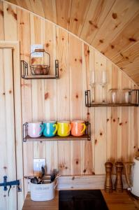 una cocina con paredes de madera y estanterías con tazas y utensilios. en Barnhorn Glamping en Hooe