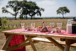 a picnic table with fruit and wine glasses on it at Barnhorn Glamping in Hooe
