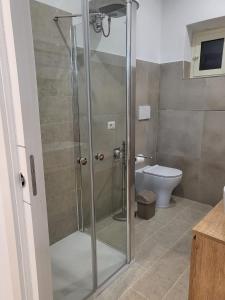 La salle de bains est pourvue d'une cabine de douche et de toilettes. dans l'établissement Loft Delle Scalette, à Nepi