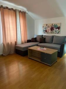 een woonkamer met een bank en een salontafel bij Apartman Flora in Novi Grad