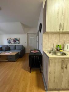 een keuken en een woonkamer met een bank en een wastafel bij Apartman Flora in Novi Grad