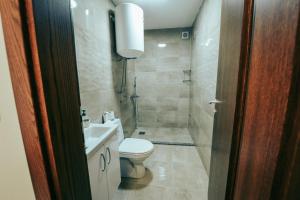 a bathroom with a toilet and a sink at Nestor Apartments in Bitola +49 photos