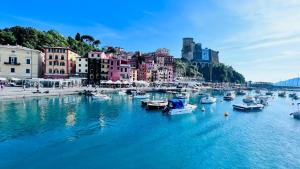 a group of boats in the water in a harbor at B&B Camera Bellavista in Lerici