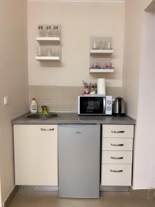 a kitchen with a counter top with a microwave at Studio Gaby in Satu Mare