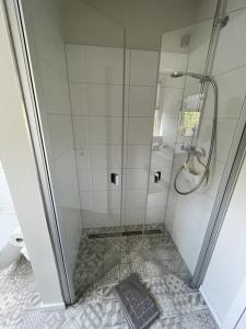 eine Dusche mit Glastür im Bad in der Unterkunft Außergewöhnlich Ferienwohnung im Villenviertel in Wilhelmshaven