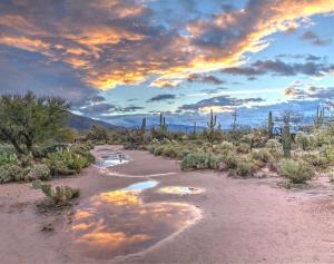 a desert with puddles of water and a cloudy sky at The Miner Tent in Tombstone