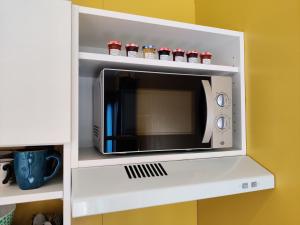 un four micro-ondes dans une armoire blanche avec des épices dans l'établissement La Cabane de Lili Prune, à Goudargues