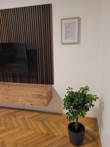 a living room with a television and a potted plant at Nový apartman Eva in Jičín