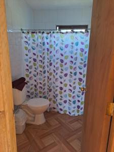 a bathroom with a toilet and a shower curtain at Cabañas Kaykun in Puerto Octay