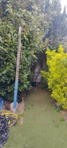 a garden with green bushes and a blue pole at chambre dans maison colocation 20 min de Paris in Antony