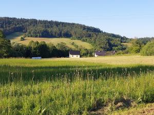 Príroda v okolí horskej chaty