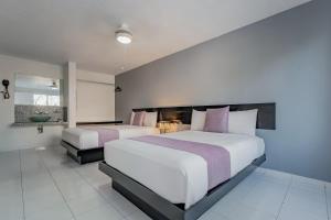 梅里達的住宿－Hotel Eclipse Mérida，一间带两张床的大卧室和一间浴室