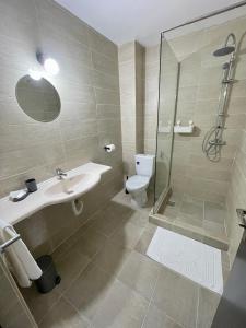 y baño con aseo, lavabo y ducha. en Pensiune Restaurant Indus, en Ocna Sibiului