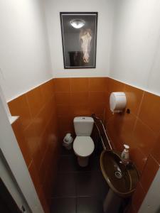 a bathroom with a toilet and a sink at Agroturystyka Pod Lipą in Iwaniska