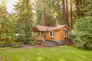 Big Sur Campground and Cabins外面的花园