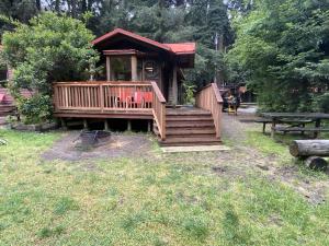 Big Sur Campground and Cabins外面的花园
