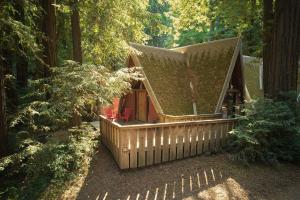 Big Sur Campground and Cabins外面的花园