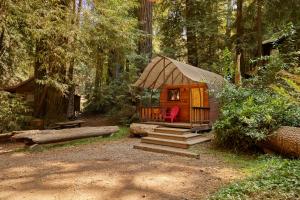 Big Sur Campground and Cabins外面的花园