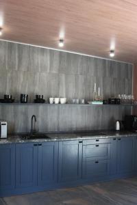 a kitchen with blue cabinets and a concrete wall at Villa Forest in Dumantsy