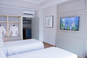 Televiisor ja/või meelelahutuskeskus majutusasutuses Bisinii Boutique Hotel