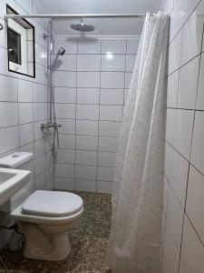 ein Bad mit einem WC, einer Dusche und einem Waschbecken in der Unterkunft Eco Village Lodge in Dzhetyoguz