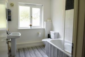 a bathroom with a sink and a toilet and a window at Badgers Holt House in Plymouth