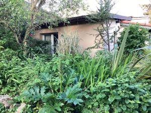 a garden with lots of plants in front of a building at Maisonnette Nantes in Nantes