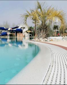 a swimming pool with blue water and palm trees at Dream holidays in Valras-Plage
