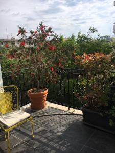 une terrasse avec une chaise et une plante en pot dans l'établissement Sunny Sea House, à Rafína