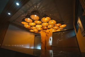 a chandelier hanging from a ceiling in a room at Reserva Campos do Jordão in Campos do Jordão