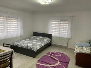 科倫德的住宿－Anikó kulcsosház，一间卧室配有一张床和紫色地毯