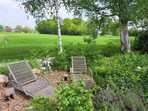 Gallery image of Buitenplaats Reestdal in IJhorst