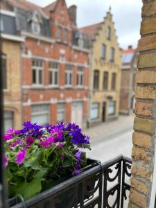 un balcón con flores púrpuras en una calle de la ciudad en Little gate, en Ypres