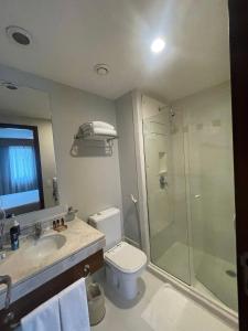 e bagno con doccia, servizi igienici e lavandino. di Flat 246 king em hotel na avenida Ibirapuera - SP a San Paolo