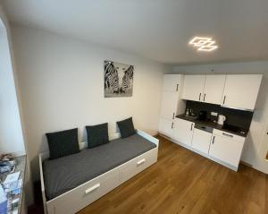 a small room with a bed and a kitchen at Vidaoro Studio Flat in Zell am See