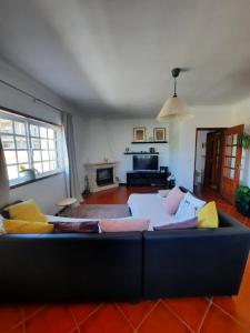 ein Wohnzimmer mit einem Sofa und einem Kamin in der Unterkunft Casa das Camélias in Aveiro