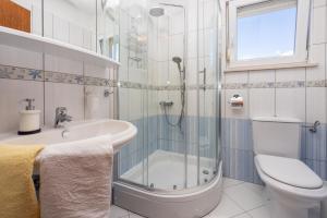 a bathroom with a shower and a toilet and a sink at Apartments Robic in Selce