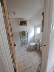 a bathroom with a toilet and a sink at Telagraph cottage in Penzance