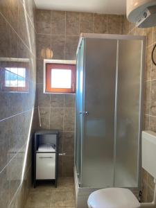 bagno con doccia e servizi igienici. di Apartments Mikecin a Novigrad (Cittanova)