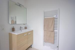ein Bad mit einem Waschbecken und einem Spiegel in der Unterkunft Appartement avec terrasse et parking, à Meaux in Meaux